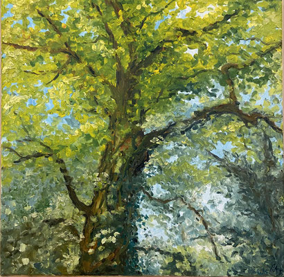 " Alte Eiche", Öl auf Leinwand, 40x40 cm, Pinsel- und Spachteltechnik