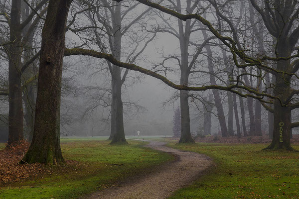 A foggy day