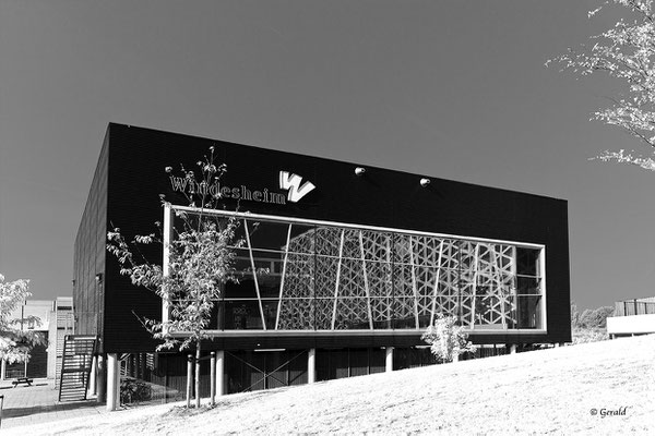 Windesheim University, gym building