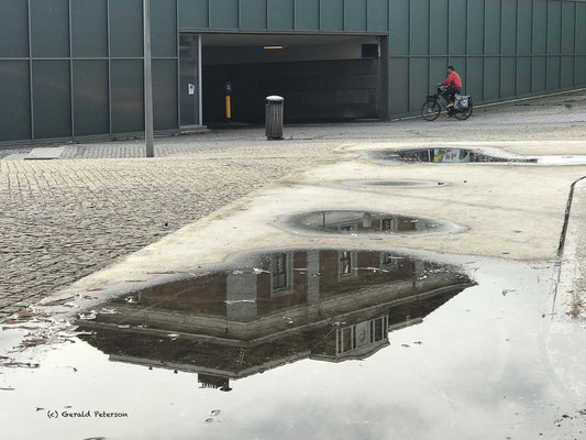 Reflections in puddle