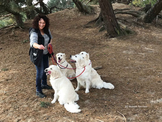 A lady and her four dogs