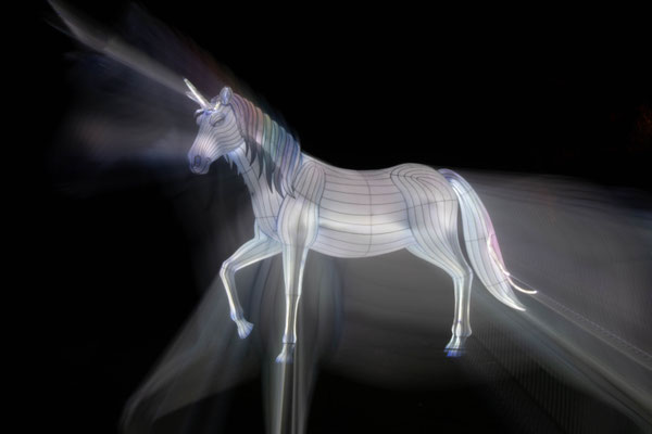 Magisches Einhorn