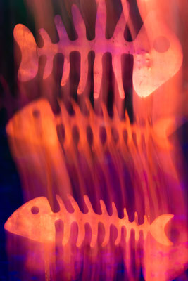Glowing ghostfishes III