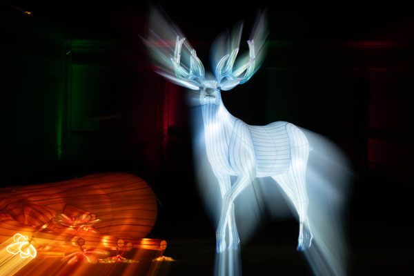 Expecto Patronum III
