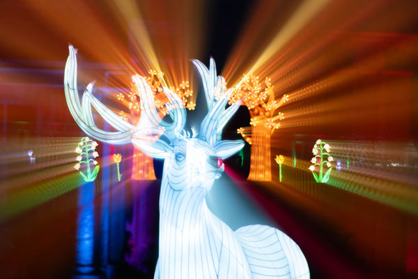 Expecto Patronum....
