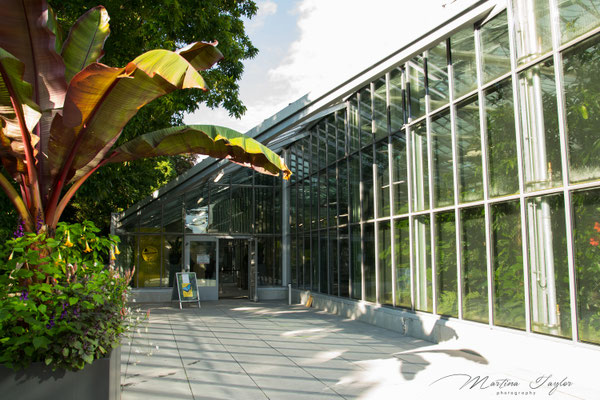 Maria-Sibylla-Merian Haus im Palmengarten