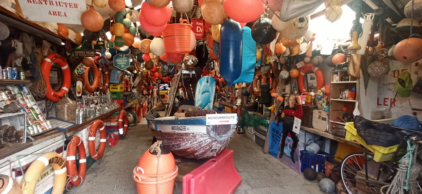 Ausstellung von gesammeltem Strandgut