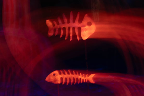 Glowing ghostfishes II