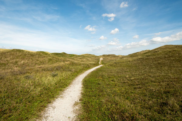 Dünenlandschaft bei De Slufter