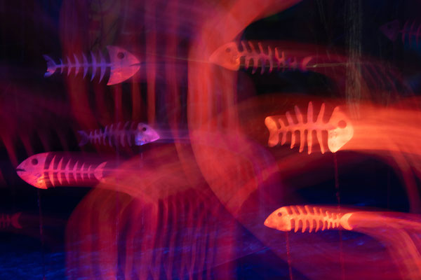 Glowing ghostfishes V