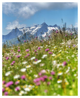 ...mit dem Säntis, dem höchsten Berg der Gegend