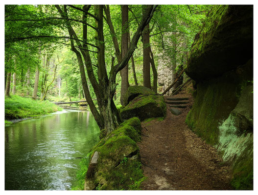 Wanderweg im Kamnitztal