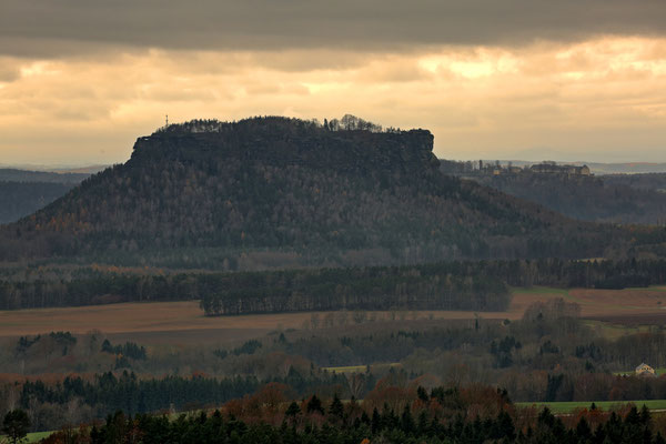 Der "König der Berge" im Elbsandstein...