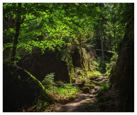 Spiel von Licht und Schatten in der Weberschlüchte.