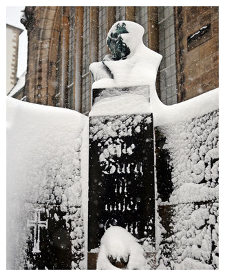 Luther im Schnee...