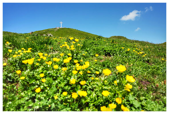 fast oben - Blick zum Gipfelkreuz des Diedamskopf