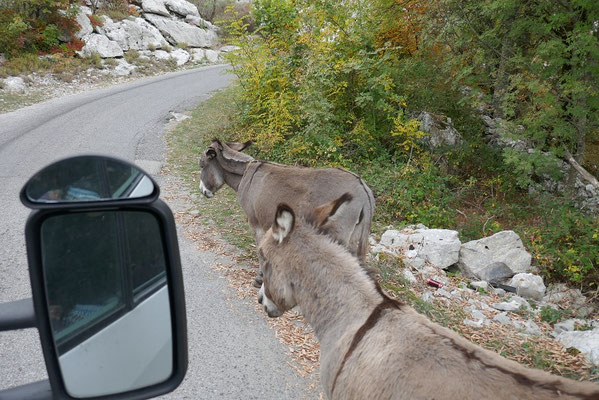 Klosterstraße um den Skadar-See