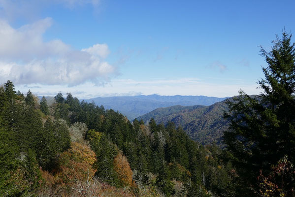 Blueridge Parkway