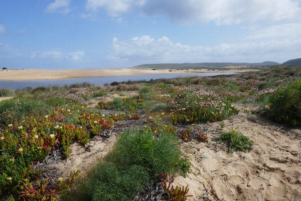 Praia da Bordeira
