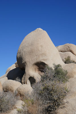 Joshua Tree Nationalpark - Skull Rock