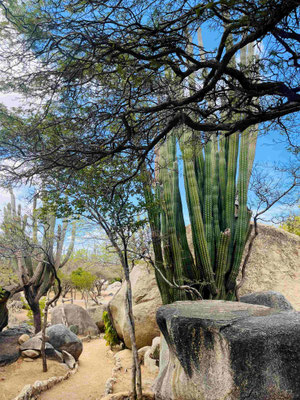 Aruba, Casibari Rocks