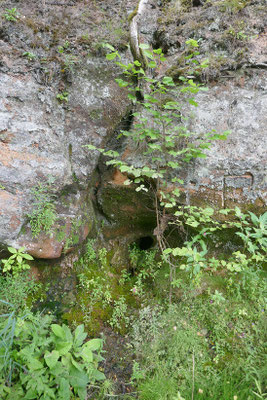 Cesis