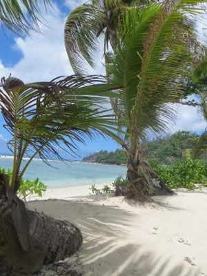 Traumstrand...