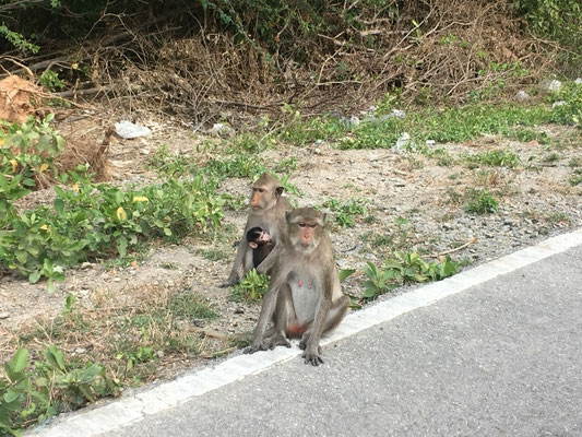 Khao Sam Roi Yot Nationalpark