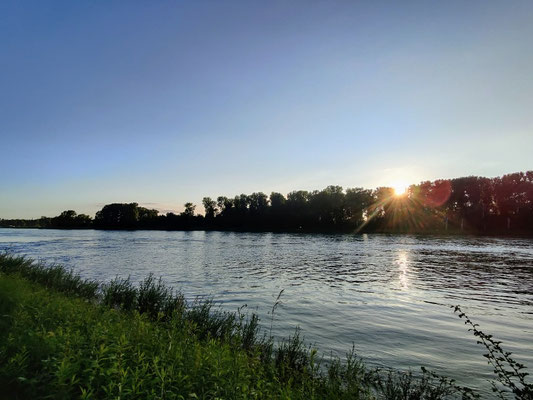 Spaziergang am Rhein bei Germersheim