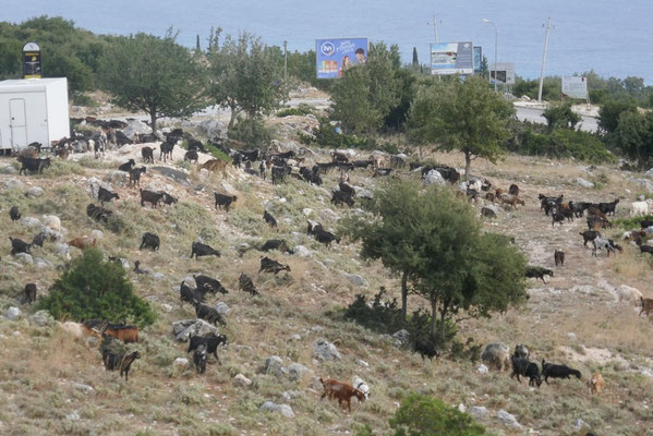 Llogarat-Pass