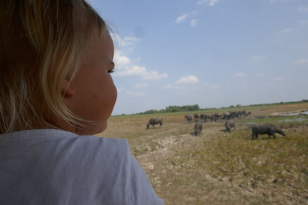 Hortobágy Nationalpark
