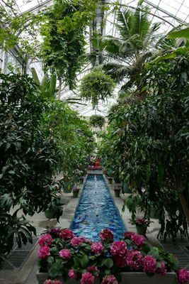 Washington DC - Botanical Garden