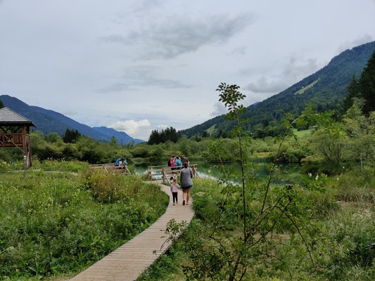 Zelenci Nature Reserve 