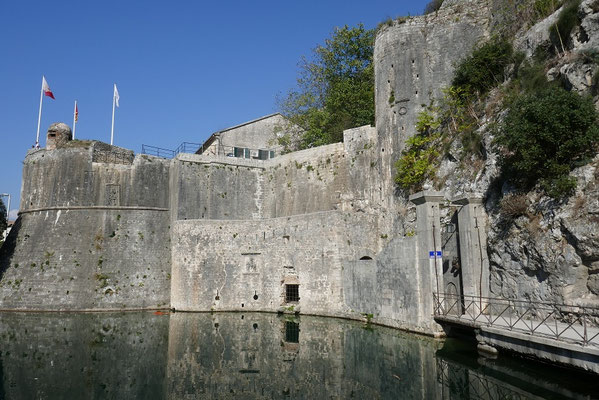 Kotor
