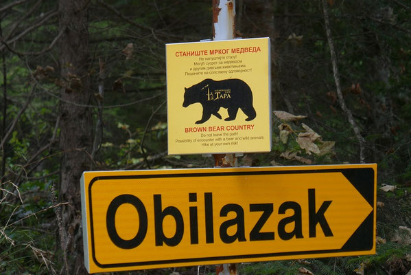 Tara Nationalpark - vorsicht Bären