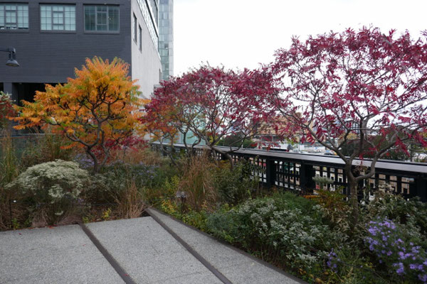 High Line Park