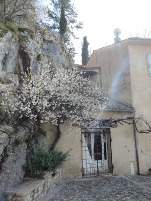 Moustiers-Sainte-Marie 