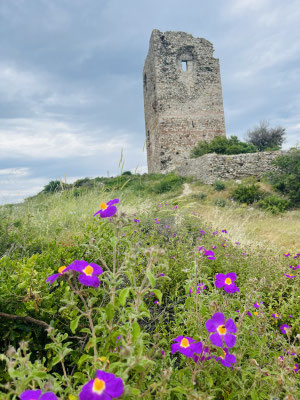 Ostteil Griechenlands