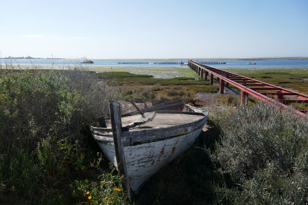 Ria Formosa Nationalpark 