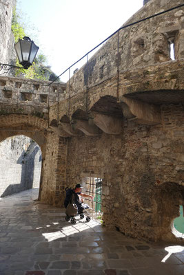 Kotor