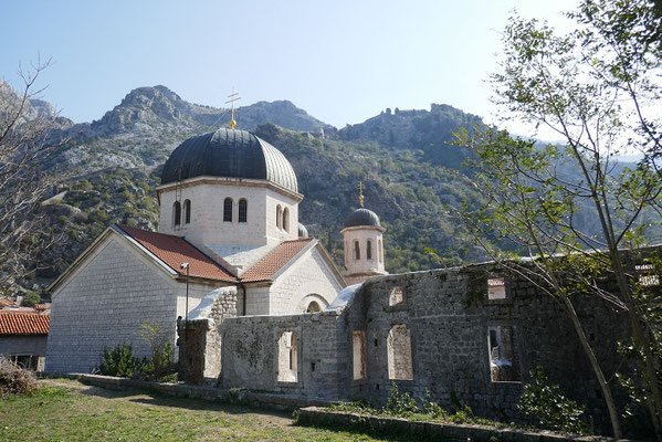Kotor