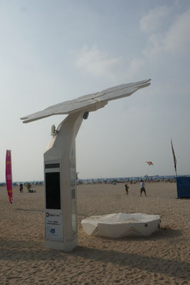 Solarpalme am Strand