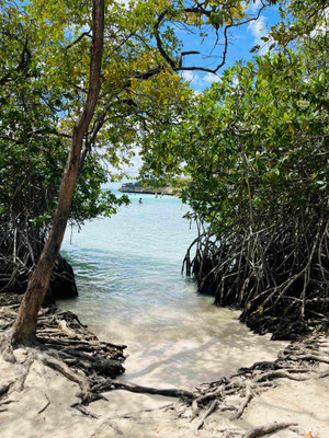 Aruba, Mangel Halto