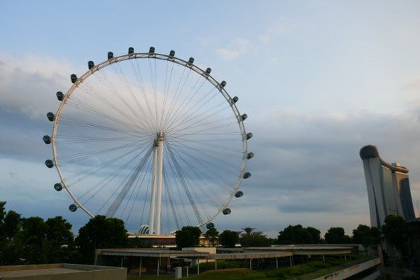 Singapur Eye