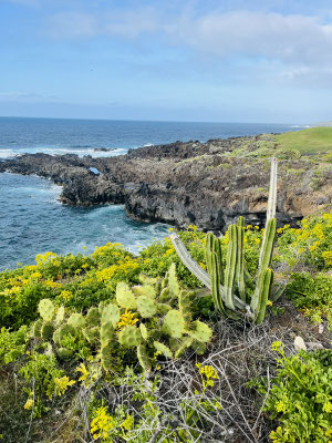 Buenavista