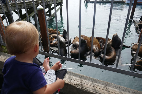 Zoé beobachtete die lauten Tiere gespannt