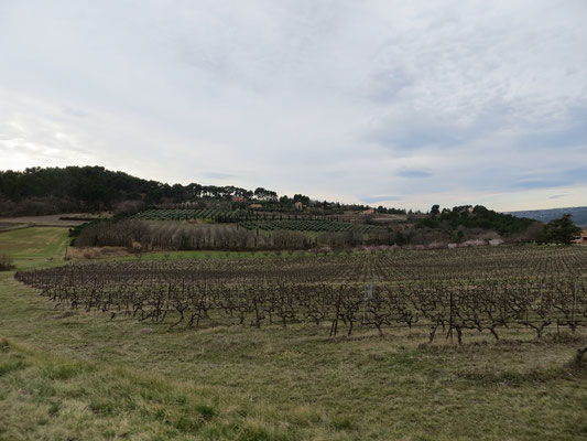 Provence