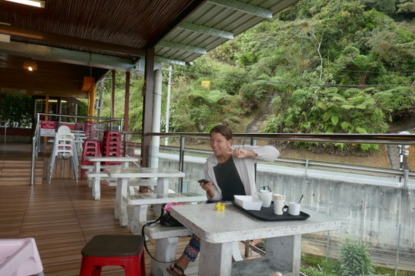Cameron Highlands - Cameron Bahat Plantage
