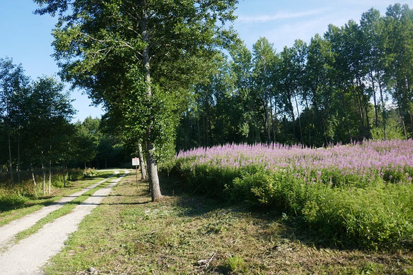 Lahemaa National Park