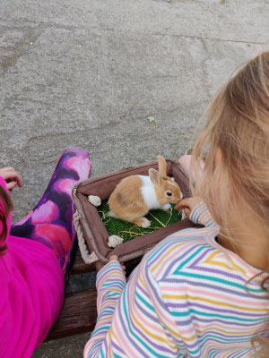 Nore Pet Farm